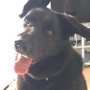 Meet your Posher, Isabelle